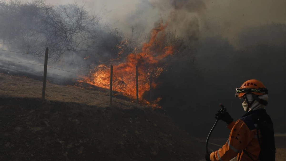 Incendio en Cali: impresionantes imágenes y videos de las conflagraciones que consumieron más de 70 hectáreas de vegetación en los Altos de Menga